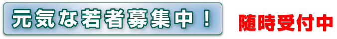 元気な若者募集中
